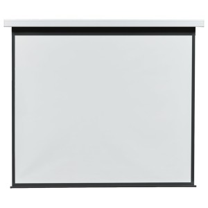 Motorleinwand Pro 1:1 