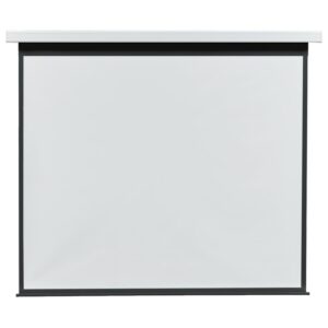 Motorleinwand Pro 1:1
