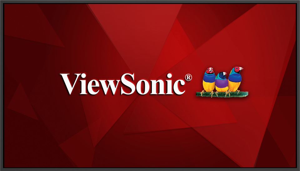 ViewSonic CDE65G3-1C kommerzielles Display ohne Betriebssystem